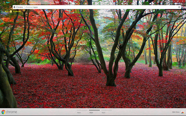 Admirable Nature from Chrome web store to be run with OffiDocs Chromium online Admirable Nature from Chrome web store to be run with OffiDocs Chromium online