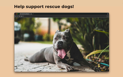 Adorable Dog Wallpapers from Chrome web store to be run with OffiDocs Chromium online Adorable Dog Wallpapers from Chrome web store to be run with OffiDocs Chromium online