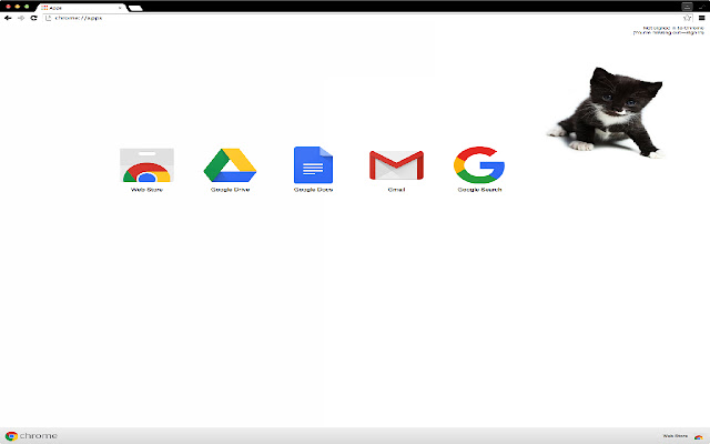 Adorable Kitten Theme 4 from Chrome web store to be run with OffiDocs Chromium online Adorable Kitten Theme 4 from Chrome web store to be run with OffiDocs Chromium online
