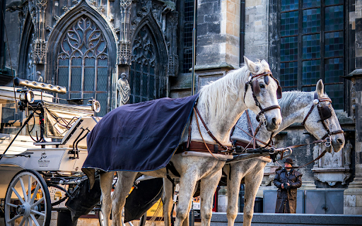 A Horse Drawn Carriage outside St. Stephens Cathedral from Chrome web store to be run with OffiDocs Chromium online A Horse Drawn Carriage outside St. Stephens Cathedral from Chrome web store to be run with OffiDocs Chromium online