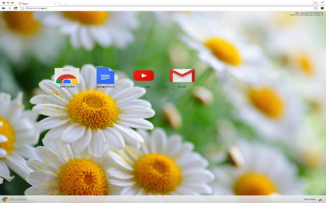 Anemone Flowers Theme from Chrome web store to be run with OffiDocs Chromium online Anemone Flowers Theme from Chrome web store to be run with OffiDocs Chromium online