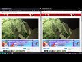 Anime Watch Parties from Chrome web store to be run with OffiDocs Chromium online Anime Watch Parties from Chrome web store to be run with OffiDocs Chromium online