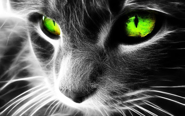 Art Cat from Chrome web store to be run with OffiDocs Chromium online Art Cat from Chrome web store to be run with OffiDocs Chromium online