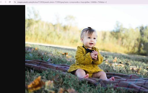 Autumn Afternoon Joy from Chrome web store to be run with OffiDocs Chromium online Autumn Afternoon Joy from Chrome web store to be run with OffiDocs Chromium online