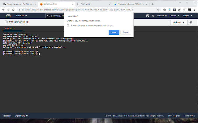 AWS CloudShell prevent CTRL W close from Chrome web store to be run with OffiDocs Chromium online AWS CloudShell prevent CTRL W close from Chrome web store to be run with OffiDocs Chromium online