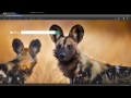 !Bang Quick Search from Chrome web store to be run with OffiDocs Chromium online !Bang Quick Search from Chrome web store to be run with OffiDocs Chromium online