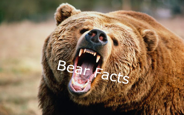 Bear Facts from Chrome web store to be run with OffiDocs Chromium online Bear Facts from Chrome web store to be run with OffiDocs Chromium online