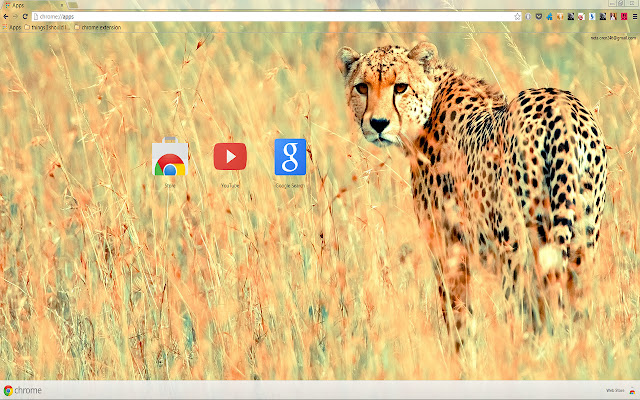 Beautiful Cheetah from Chrome web store to be run with OffiDocs Chromium online Beautiful Cheetah from Chrome web store to be run with OffiDocs Chromium online