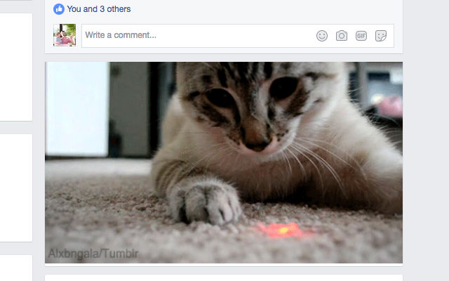 Better with Cats from Chrome web store to be run with OffiDocs Chromium online Better with Cats from Chrome web store to be run with OffiDocs Chromium online