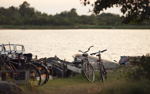 Bicycles and boats by the lake from Chrome web store to be run with OffiDocs Chromium online Bicycles and boats by the lake from Chrome web store to be run with OffiDocs Chromium online