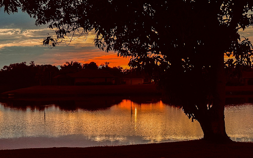 Big tree by the lake at sunset from Chrome web store to be run with OffiDocs Chromium online Big tree by the lake at sunset from Chrome web store to be run with OffiDocs Chromium online