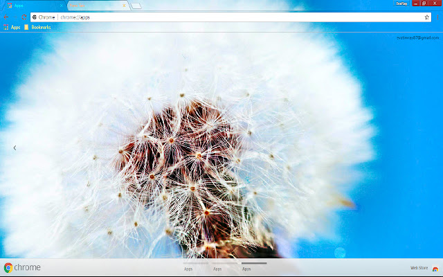 Blowball Blue Dandelion Flower from Chrome web store to be run with OffiDocs Chromium online Blowball Blue Dandelion Flower from Chrome web store to be run with OffiDocs Chromium online