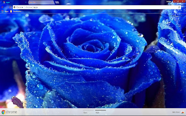 Blue Flower 1920*1080 from Chrome web store to be run with OffiDocs Chromium online Blue Flower 1920*1080 from Chrome web store to be run with OffiDocs Chromium online