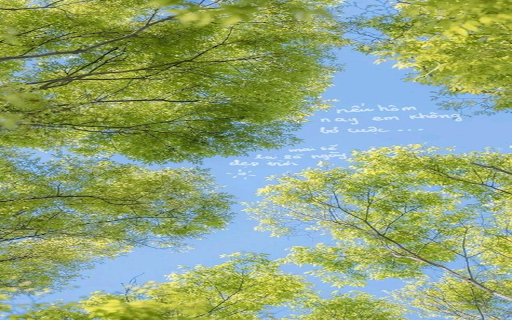 Blue sky wallpaper from Chrome web store to be run with OffiDocs Chromium online Blue sky wallpaper from Chrome web store to be run with OffiDocs Chromium online