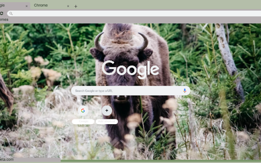 Bo Hoang from Chrome web store to be run with OffiDocs Chromium online Bo Hoang from Chrome web store to be run with OffiDocs Chromium online