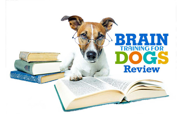 Brain Training For Dogs Review from Chrome web store to be run with OffiDocs Chromium online Brain Training For Dogs Review from Chrome web store to be run with OffiDocs Chromium online