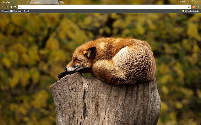 Brown Fox from Chrome web store to be run with OffiDocs Chromium online Brown Fox from Chrome web store to be run with OffiDocs Chromium online