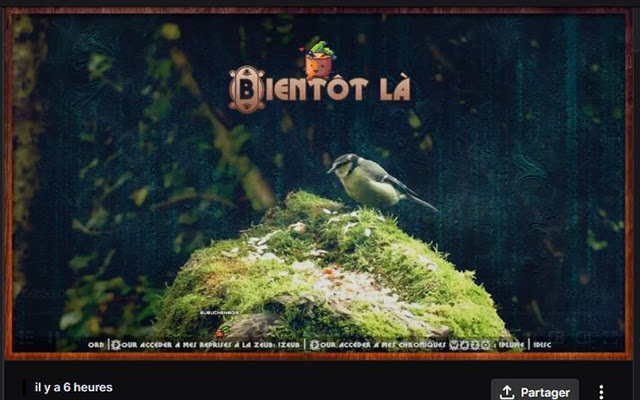 BubuchenBois (by Streamdot) from Chrome web store to be run with OffiDocs Chromium online BubuchenBois (by Streamdot) from Chrome web store to be run with OffiDocs Chromium online