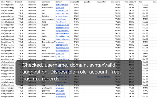Bulk Email Verifier Checker from Chrome web store to be run with OffiDocs Chromium online Bulk Email Verifier Checker from Chrome web store to be run with OffiDocs Chromium online