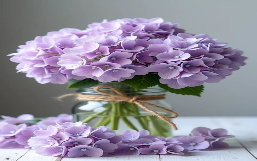 Carnation bouquet wallpaper from Chrome web store to be run with OffiDocs Chromium online Carnation bouquet wallpaper from Chrome web store to be run with OffiDocs Chromium online