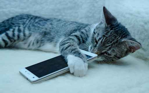 Cat and phone from Chrome web store to be run with OffiDocs Chromium online Cat and phone from Chrome web store to be run with OffiDocs Chromium online