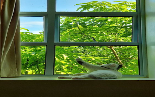 Cat lying on the window wallpaper from Chrome web store to be run with OffiDocs Chromium online Cat lying on the window wallpaper from Chrome web store to be run with OffiDocs Chromium online