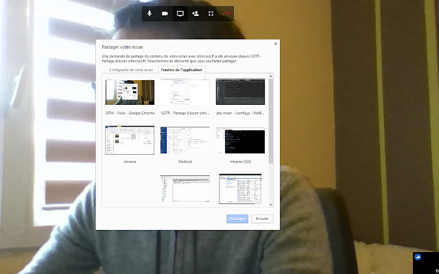 CGTR Partage décran sitmvisio.fr from Chrome web store to be run with OffiDocs Chromium online CGTR Partage décran sitmvisio.fr from Chrome web store to be run with OffiDocs Chromium online