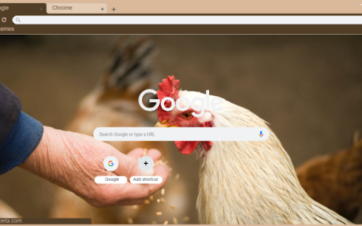 Chicken from Chrome web store to be run with OffiDocs Chromium online Chicken from Chrome web store to be run with OffiDocs Chromium online