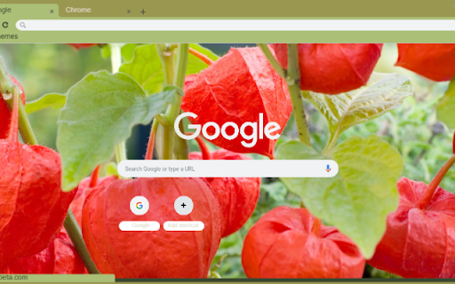 Chinese Lantern from Chrome web store to be run with OffiDocs Chromium online Chinese Lantern from Chrome web store to be run with OffiDocs Chromium online