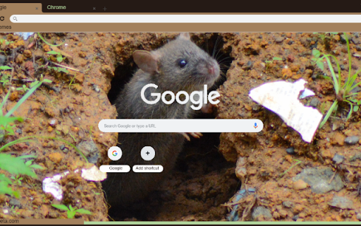 Chuot hang from Chrome web store to be run with OffiDocs Chromium online Chuot hang from Chrome web store to be run with OffiDocs Chromium online