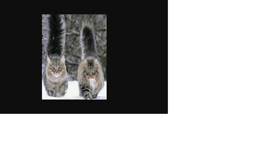 Clap For Cat from Chrome web store to be run with OffiDocs Chromium online Clap For Cat from Chrome web store to be run with OffiDocs Chromium online