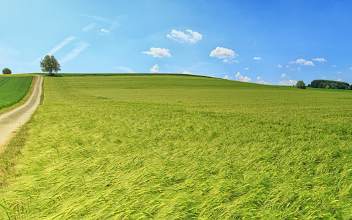 Cánh đồng lúa mỳ from Chrome web store to be run with OffiDocs Chromium online Cánh đồng lúa mỳ from Chrome web store to be run with OffiDocs Chromium online