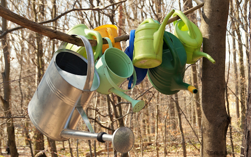 Collection of watering cans from Chrome web store to be run with OffiDocs Chromium online Collection of watering cans from Chrome web store to be run with OffiDocs Chromium online