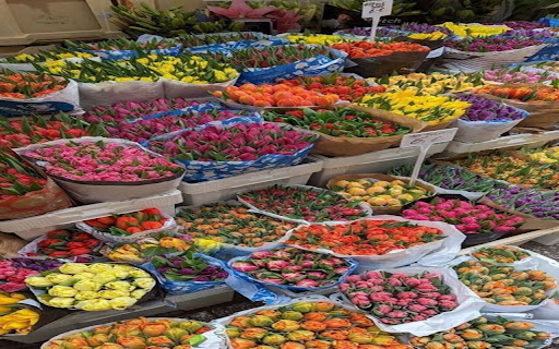 Colorful flower market wallpaper from Chrome web store to be run with OffiDocs Chromium online Colorful flower market wallpaper from Chrome web store to be run with OffiDocs Chromium online