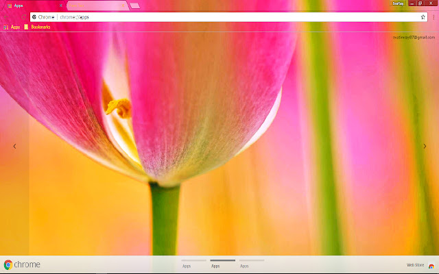 Colorful Flower Petal Pink from Chrome web store to be run with OffiDocs Chromium online Colorful Flower Petal Pink from Chrome web store to be run with OffiDocs Chromium online