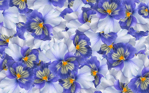 Colorful flowers from Chrome web store to be run with OffiDocs Chromium online Colorful flowers from Chrome web store to be run with OffiDocs Chromium online