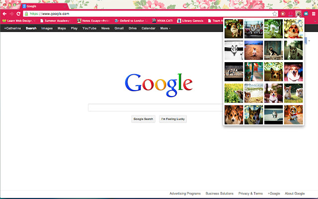 Corgis Everywhere from Chrome web store to be run with OffiDocs Chromium online Corgis Everywhere from Chrome web store to be run with OffiDocs Chromium online