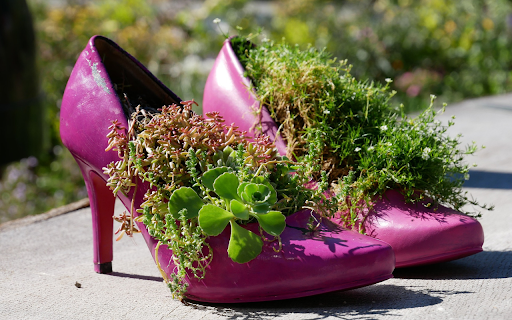 Cute shoes from Chrome web store to be run with OffiDocs Chromium online Cute shoes from Chrome web store to be run with OffiDocs Chromium online