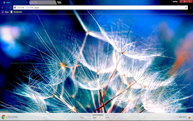 Dandelion Flower Spring White from Chrome web store to be run with OffiDocs Chromium online Dandelion Flower Spring White from Chrome web store to be run with OffiDocs Chromium online