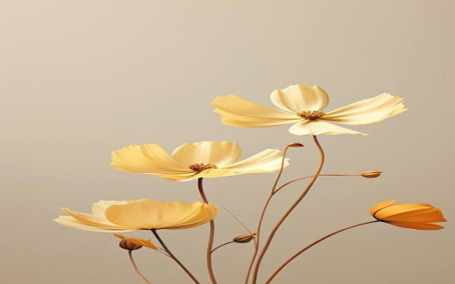 delicate flowers wallpaper from Chrome web store to be run with OffiDocs Chromium online delicate flowers wallpaper from Chrome web store to be run with OffiDocs Chromium online
