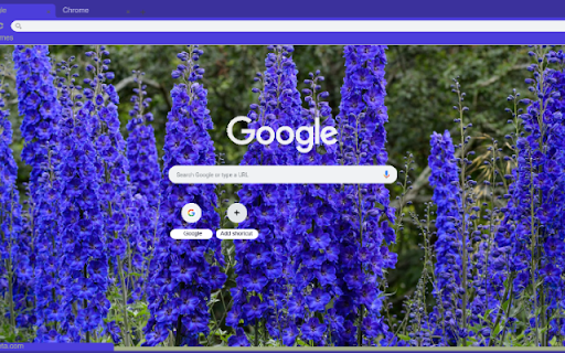 Delphinium from Chrome web store to be run with OffiDocs Chromium online Delphinium from Chrome web store to be run with OffiDocs Chromium online