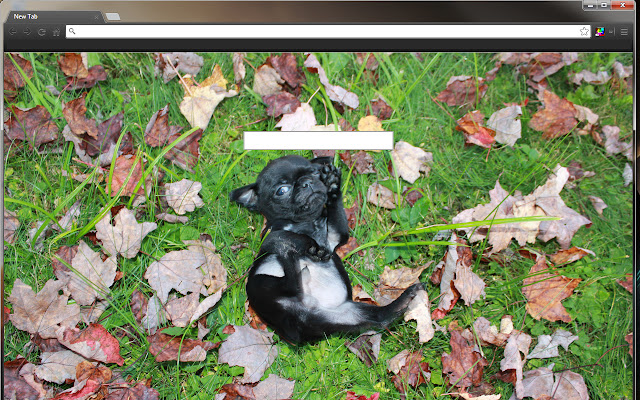 Dynamic New Tab from Chrome web store to be run with OffiDocs Chromium online Dynamic New Tab from Chrome web store to be run with OffiDocs Chromium online