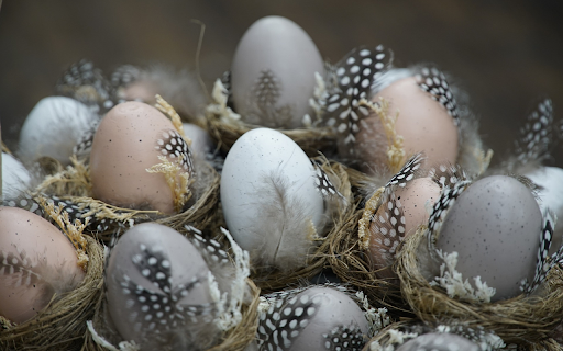 eggs and feathers from Chrome web store to be run with OffiDocs Chromium online eggs and feathers from Chrome web store to be run with OffiDocs Chromium online