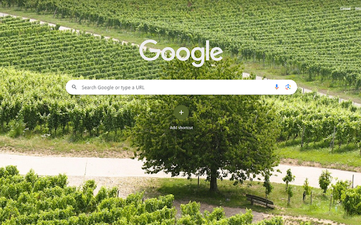 Emerald Vineyard Serenity from Chrome web store to be run with OffiDocs Chromium online Emerald Vineyard Serenity from Chrome web store to be run with OffiDocs Chromium online