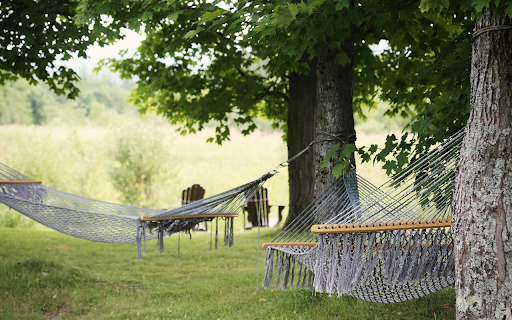 Fabric hammock from Chrome web store to be run with OffiDocs Chromium online Fabric hammock from Chrome web store to be run with OffiDocs Chromium online