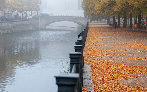 Falling leaves by the river from Chrome web store to be run with OffiDocs Chromium online Falling leaves by the river from Chrome web store to be run with OffiDocs Chromium online