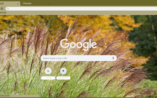 Feather Reed Grass from Chrome web store to be run with OffiDocs Chromium online Feather Reed Grass from Chrome web store to be run with OffiDocs Chromium online