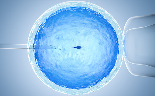 Fertility Support from Chrome web store to be run with OffiDocs Chromium online Fertility Support from Chrome web store to be run with OffiDocs Chromium online
