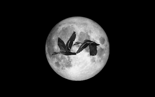 Flight Across the Moon from Chrome web store to be run with OffiDocs Chromium online Flight Across the Moon from Chrome web store to be run with OffiDocs Chromium online
