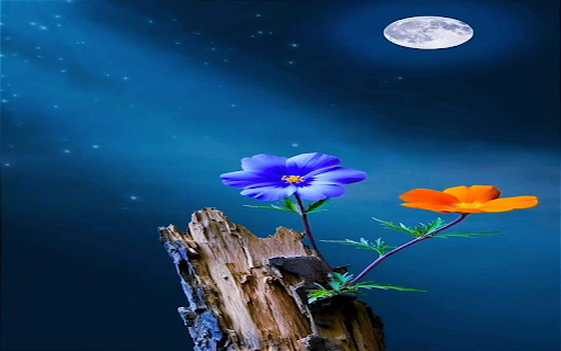 Flowers growing on wood Wallpaper from Chrome web store to be run with OffiDocs Chromium online Flowers growing on wood Wallpaper from Chrome web store to be run with OffiDocs Chromium online